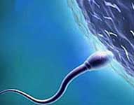 Reproducción e inseminación 